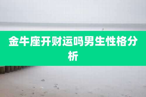 金牛座开财运吗男生性格分析