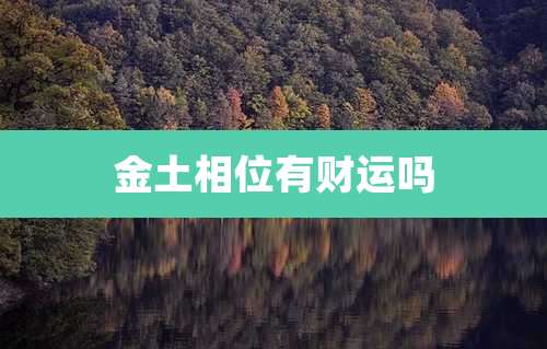 金土相位有财运吗