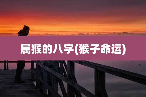 属猴的八字(猴子命运)