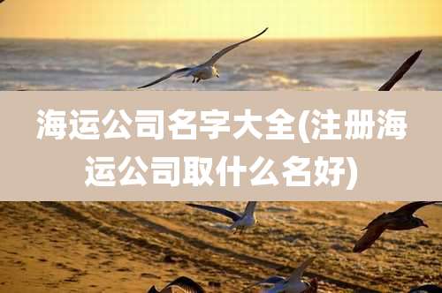海运公司名字大全(注册海运公司取什么名好)