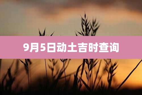 9月5日动土吉时查询