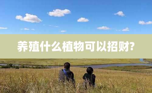 养殖什么植物可以招财?