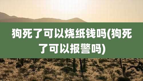 狗死了可以烧纸钱吗(狗死了可以报警吗)