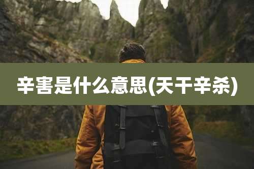 辛害是什么意思(天干辛杀)