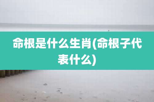 命根是什么生肖(命根子代表什么)