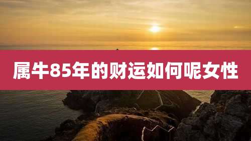 属牛85年的财运如何呢女性