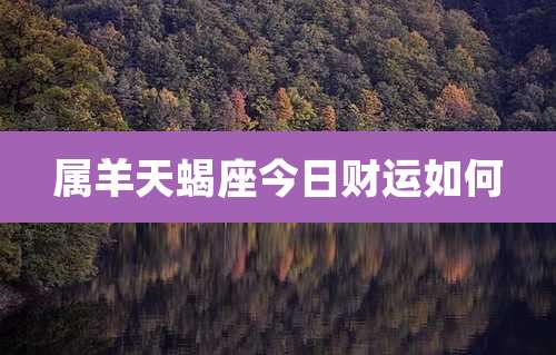 属羊天蝎座今日财运如何