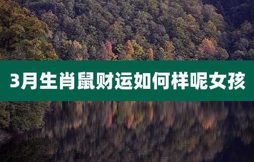 3月生肖鼠财运如何样呢女孩