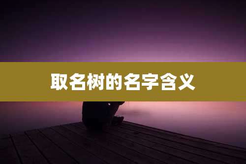 取名树的名字含义