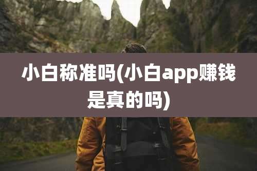 小白称准吗(小白app赚钱是真的吗)