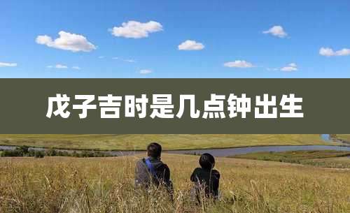 戊子吉时是几点钟出生