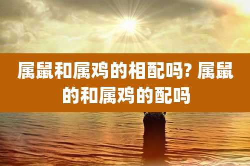 属鼠和属鸡的相配吗? 属鼠的和属鸡的配吗