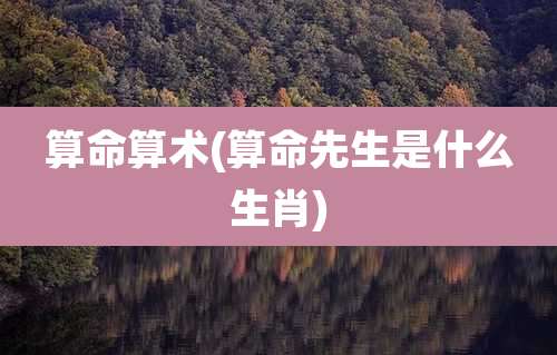 算命算术(算命先生是什么生肖)