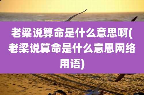 老梁说算命是什么意思啊(老梁说算命是什么意思网络用语)