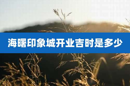 海曙印象城开业吉时是多少