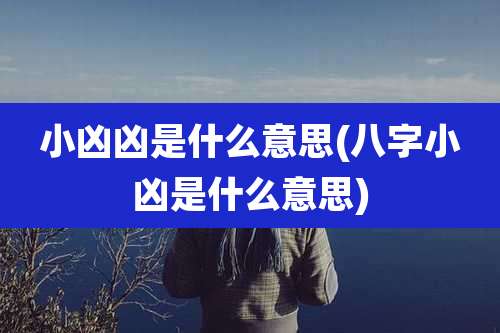 小凶凶是什么意思(八字小凶是什么意思)