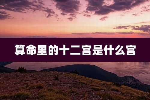 算命里的十二宫是什么宫
