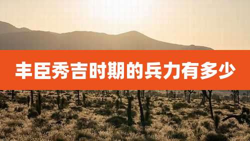 丰臣秀吉时期的兵力有多少