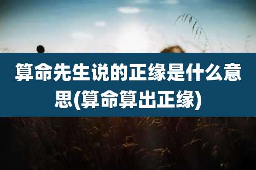 算命先生说的正缘是什么意思(算命算出正缘)