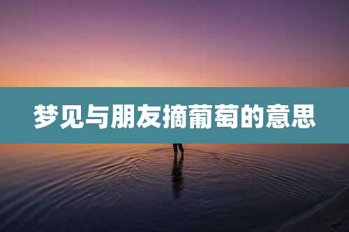 梦见与朋友摘葡萄的意思