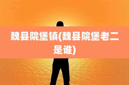 魏县院堡镇(魏县院堡老二是谁)