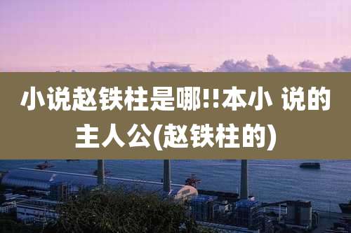 小说赵铁柱是哪!!本小 说的主人公(赵铁柱的)