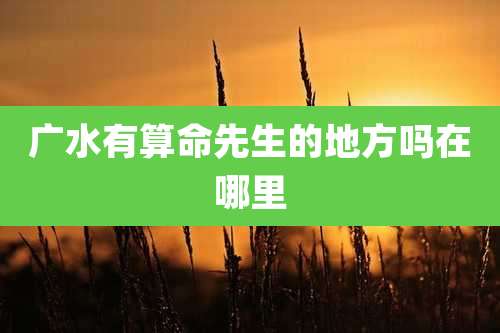 广水有算命先生的地方吗在哪里