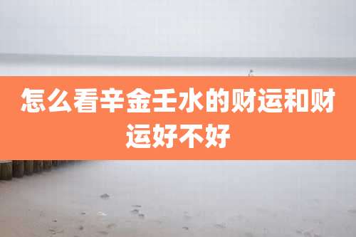 怎么看辛金壬水的财运和财运好不好