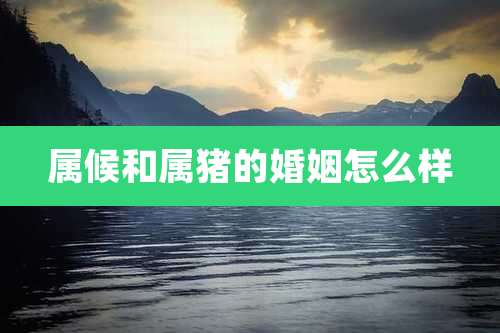 属候和属猪的婚姻怎么样