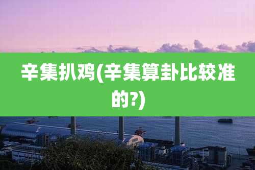 辛集扒鸡(辛集算卦比较准的?)