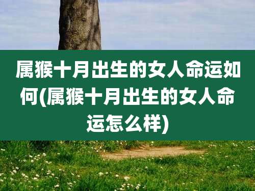 属猴十月出生的女人命运如何(属猴十月出生的女人命运怎么样)
