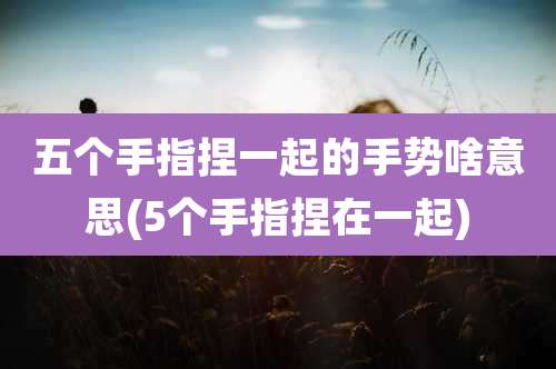 五个手指捏一起的手势啥意思(5个手指捏在一起)