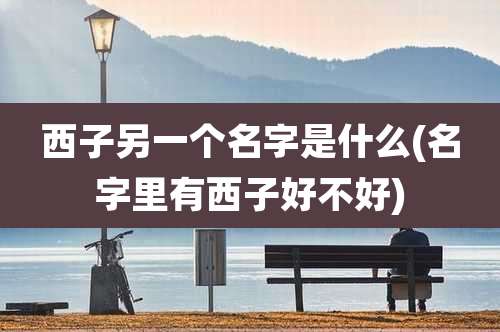 西子另一个名字是什么(名字里有西子好不好)