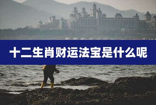 十二生肖财运法宝是什么呢