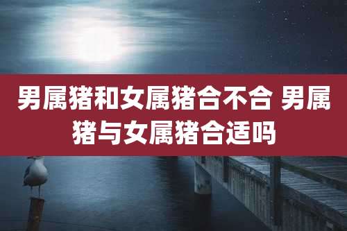 男属猪和女属猪合不合 男属猪与女属猪合适吗
