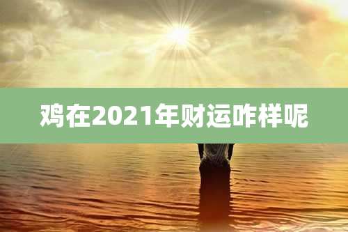 鸡在2021年财运咋样呢