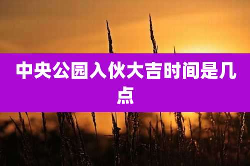 中央公园入伙大吉时间是几点