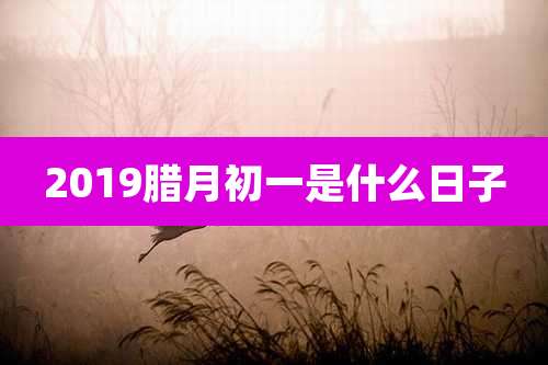 2019腊月初一是什么日子