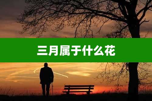三月属于什么花