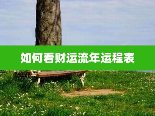 如何看财运流年运程表