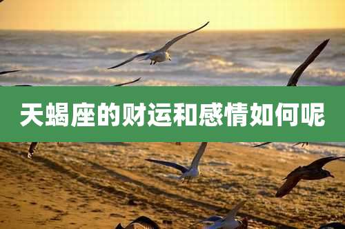 天蝎座的财运和感情如何呢