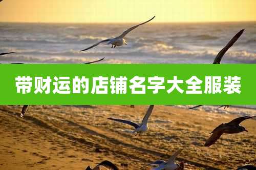 带财运的店铺名字大全服装
