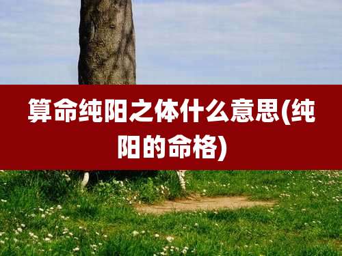 算命纯阳之体什么意思(纯阳的命格)