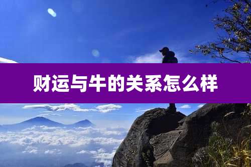 财运与牛的关系怎么样