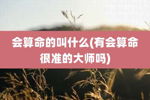 会算命的叫什么(有会算命很准的大师吗)