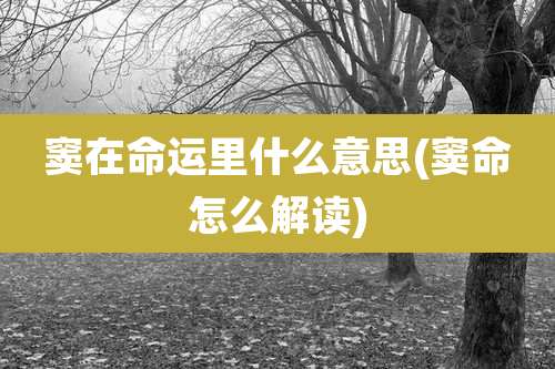 窦在命运里什么意思(窦命怎么解读)