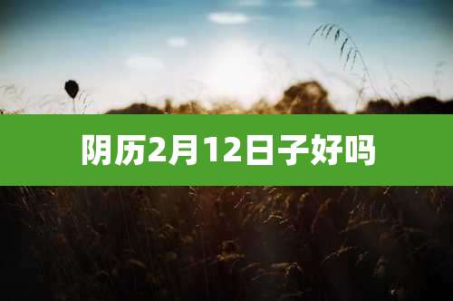 阴历2月12日子好吗