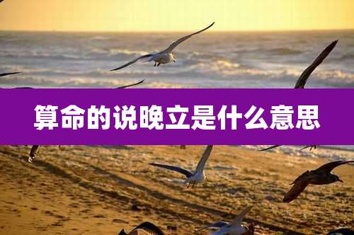 算命的说晚立是什么意思