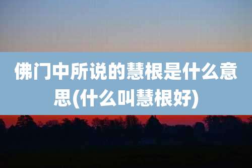 佛门中所说的慧根是什么意思(什么叫慧根好)