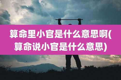 算命里小官是什么意思啊(算命说小官是什么意思)